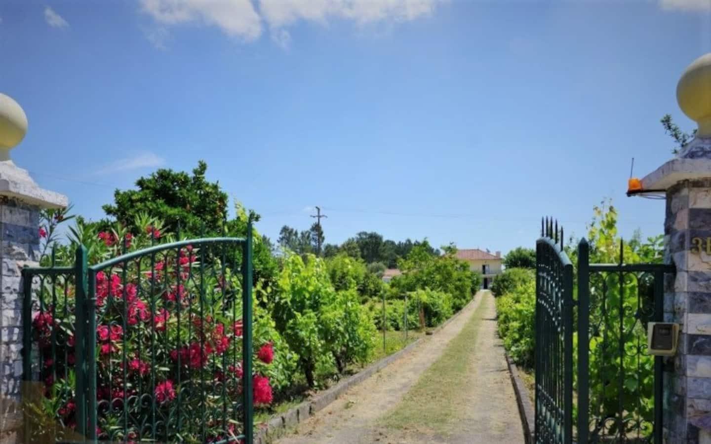 Casa Azul Tomar Prive Vakantiehuis ภายนอก รูปภาพ