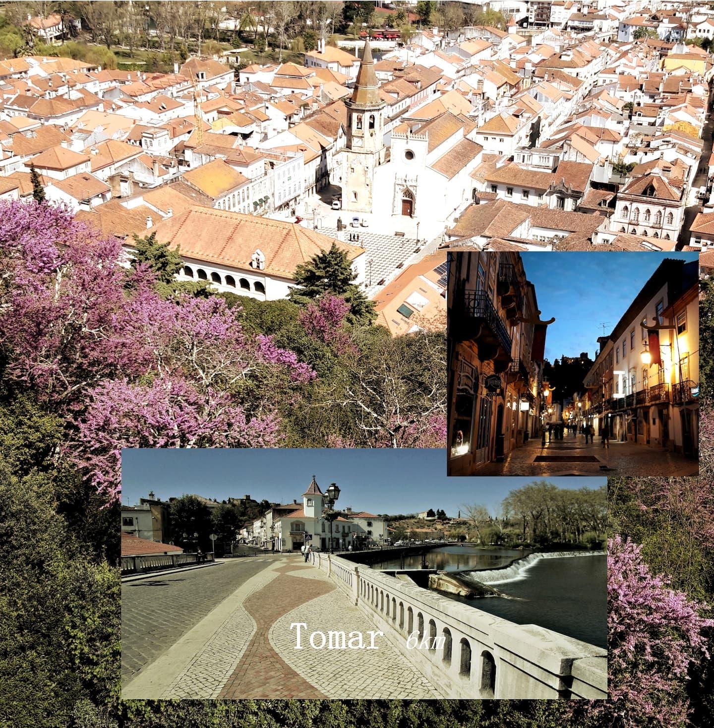 Casa Azul Tomar Prive Vakantiehuis ภายนอก รูปภาพ