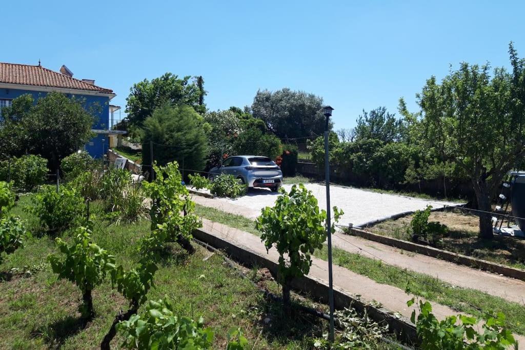 Casa Azul Tomar Prive Vakantiehuis ภายนอก รูปภาพ
